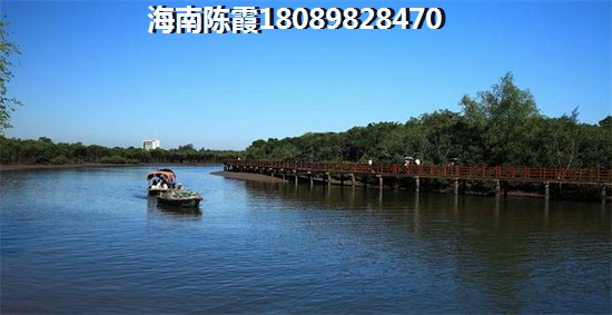 二手海南房产权问题有哪些买五指山二手房注意什么
