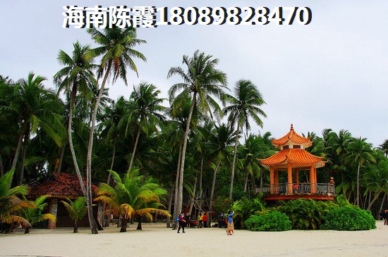 äºæå±±æ£®ææ¹æ£®ææ¹ææå¾3