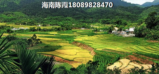 越是买不到五指山·山水名城的房子 越是买不到五指山·山水名城的房子