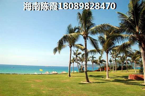 天山丽田买房到底纸不纸
