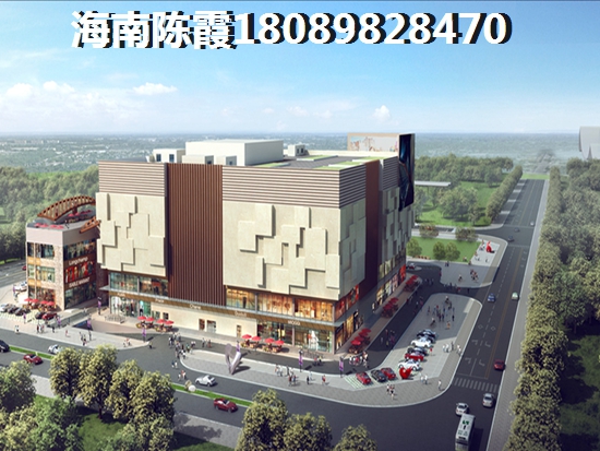 >2021五指山购房分析