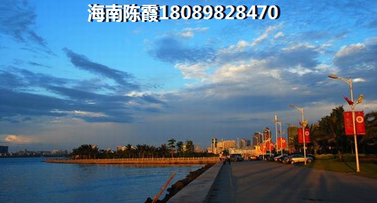 五指山和琼中醉新价格对比！
