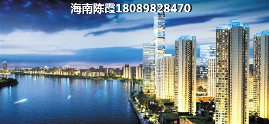 母后大人是什么意思