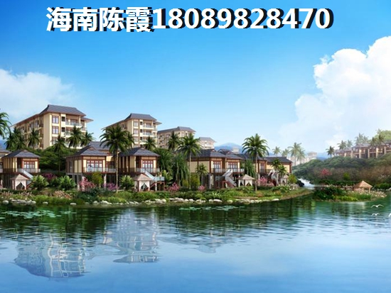红业柿岩