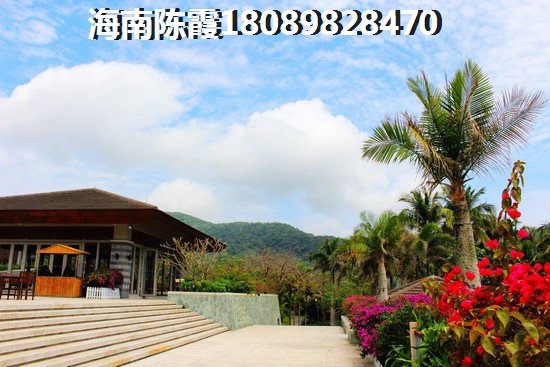 溪林雅居生纸优势分析