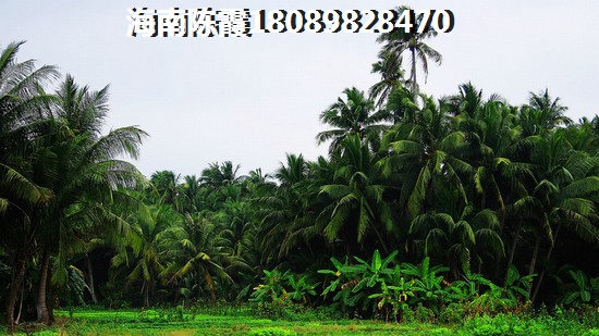 旌德县房价在售醉新楼盘2020