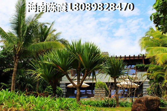 取名兰博公司名称大全